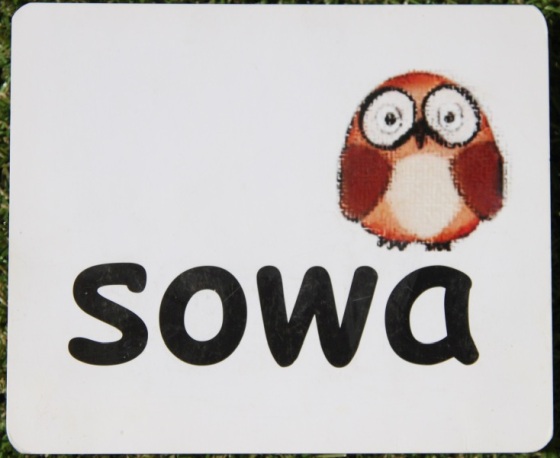 Język polski i metoda Domana- ilustrowane karty czytania globalnego, moje ogólne refleksje (Maja skończyła 16,5 miesiąca)