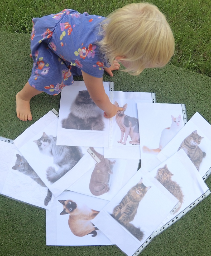 Jak przekazać małemu dziecku wiedzę encyklopedyczną – nieco inne spojrzenie i podsumowanie naszych bitów