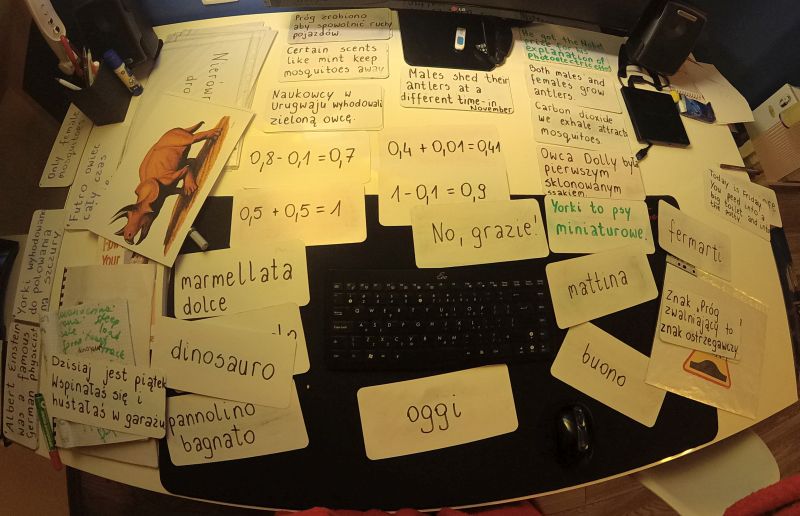 Podsumowanie wczesnej nauki czytania metodą Domana: dwulatek czyta globalnie (artykuł z wersją audio)