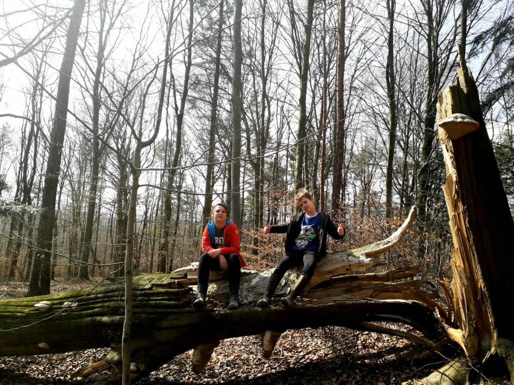 Dwujęzyczność zamierzona