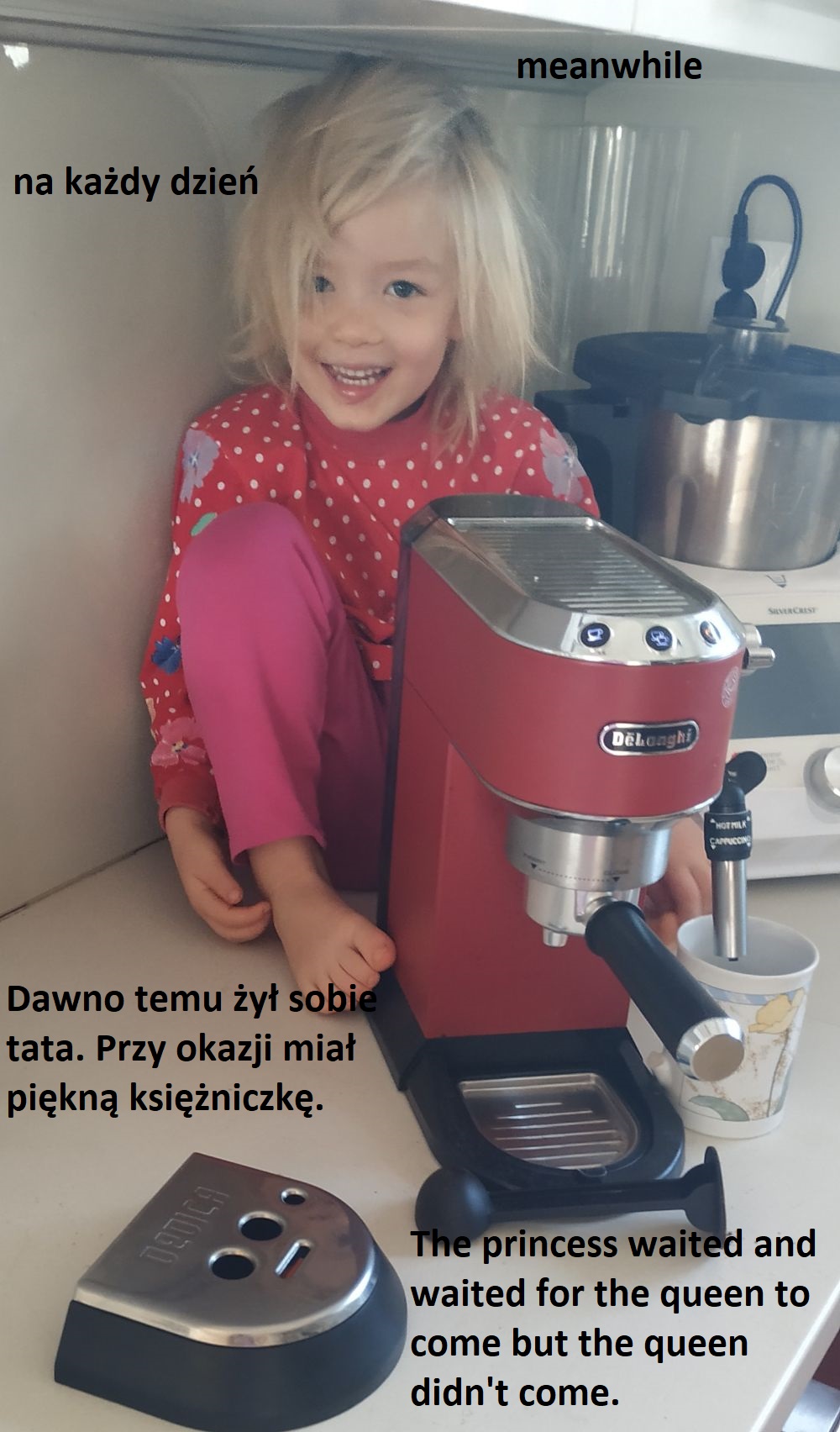 Dwujęzyczność nienatywna